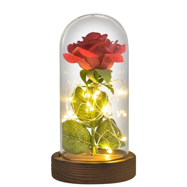 Enchanted Rose TheRoseCompanyUT Enchanted Rose TheRoseCompanyUT